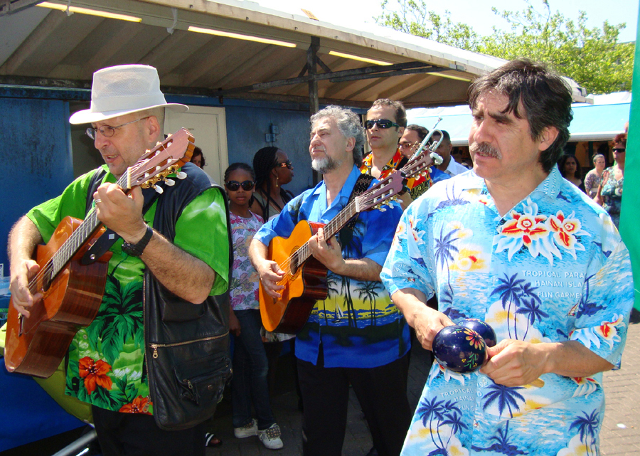 Akoestische Hawaii band