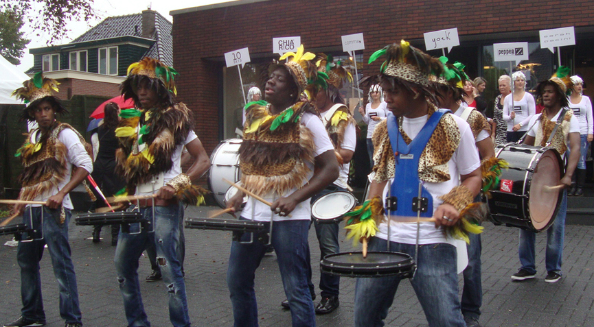 Hawaii feest band